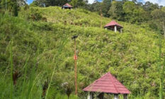 Bukit Khayangan Sungai Penuh Kurang Terawat, Warga Desak Pembenahan Destinasi Wisata