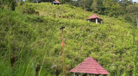 Tampak beberapa saung Bukit Khayangan tempat bersantai sudah di kelilingi semak belukar.( poto : istimewa )