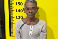 Polisi mengamankan Z (56), warga Kota Padang yang bekerja sebagai karyawan swasta.( poto : jambiekspres.co.id )