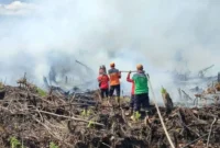 Ilustrasi petugas padamkan karhutla di wilayah Provinsi Jambi.( poto : tribunjambi.com )