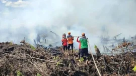 Ilustrasi petugas padamkan karhutla di wilayah Provinsi Jambi.( poto : tribunjambi.com )
