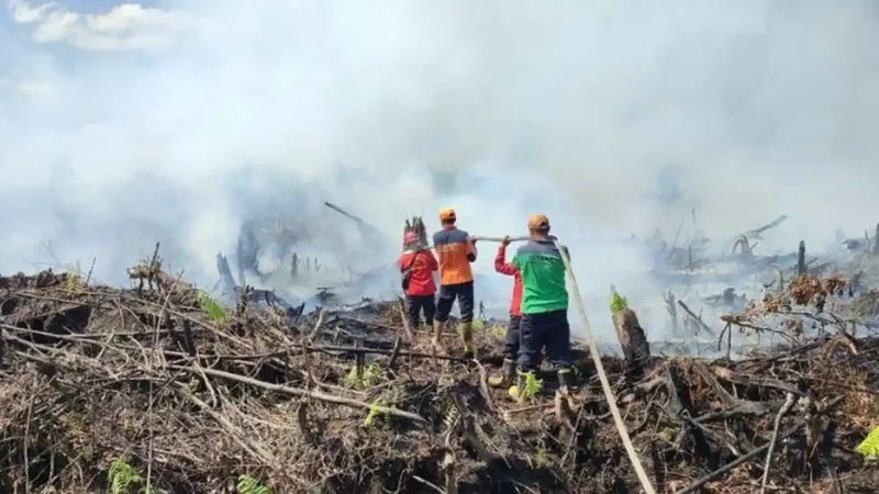 Ilustrasi petugas padamkan karhutla di wilayah Provinsi Jambi.( poto : tribunjambi.com )