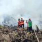 Ilustrasi petugas padamkan karhutla di wilayah Provinsi Jambi.( poto : tribunjambi.com )