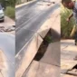 Tangkapan layar Sebuah video yang memperlihatkan kondisi mengenaskan sebuah jembatan besi di kawasan Jalan Darma Mala, Sungai Gelam, Kabupaten Muaro Jambi.( poto : tribunjambi.com )