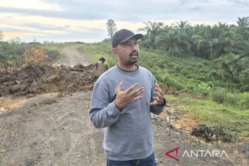 Humas PT WKS Taufik Qurochman saat memberikan keterangan di ruas jalan 800 JCA Distrik VII Desa Bukit Bakar, Kabupaten Tanjung Jabung Barat, Jumat (29/5/2025). ( Poto : ANTARA )