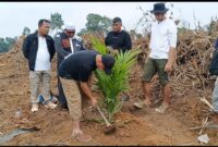 Anggota DPR RI Cek Endra memulai penanaman perdana sawit di kawasan Kebun Sribado, Kecamatan Mandiangin, Kabupaten Sarolangun, Sabtu (13/6/2026). ( poto : jambiprima.com )