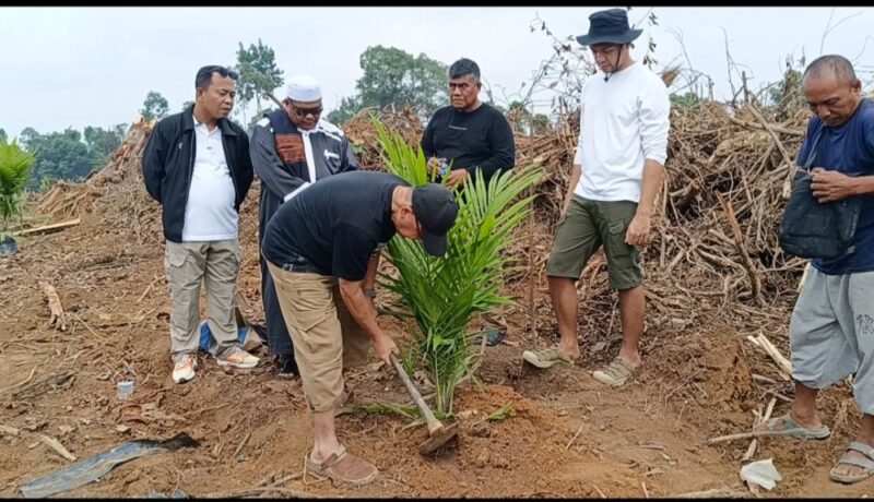 Anggota DPR RI Cek Endra memulai penanaman perdana sawit di kawasan Kebun Sribado, Kecamatan Mandiangin, Kabupaten Sarolangun, Sabtu (13/6/2026). ( poto : jambiprima.com )