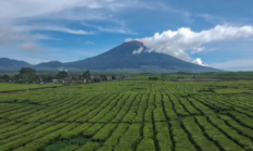Gunung Kerinci Catat 621 Pendaki pada Mei 2026, Wisata Alam Tetap Diminati