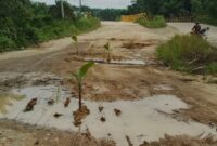 Warga protes dengan menanm pisang di tengah jalan karena jalan tak kunjung di perbaiki.( poto : jambiprima.com )
