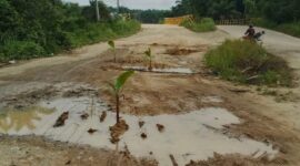Warga protes dengan menanm pisang di tengah jalan karena jalan tak kunjung di perbaiki.( poto : jambiprima.com )