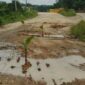Warga protes dengan menanm pisang di tengah jalan karena jalan tak kunjung di perbaiki.( poto : jambiprima.com )