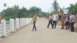 BPK Jambi menyatakan proyek tanggul Pagar Puding Rp20,4 miliar tanpa temuan( poto : jambiprima.com )