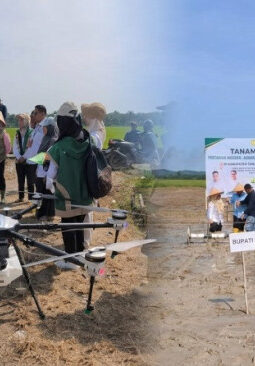 Tanam Perdana Padi Modern PM-AAS Dimulai di Tanjabbar, Dorong Pertanian Digital
