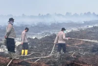 BPBD Tanjabtim memperkuat pencegahan karhutla di lahan gambut menjelang kemarau 2026 di lima kecamatan rawan kebakaran hutan dan lahan.( poto : metrojambi.com )