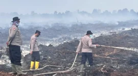 BPBD Tanjabtim memperkuat pencegahan karhutla di lahan gambut menjelang kemarau 2026 di lima kecamatan rawan kebakaran hutan dan lahan.( poto : metrojambi.com )