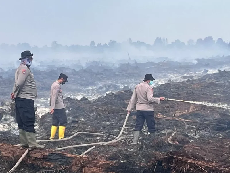 BPBD Tanjabtim memperkuat pencegahan karhutla di lahan gambut menjelang kemarau 2026 di lima kecamatan rawan kebakaran hutan dan lahan.( poto : metrojambi.com )