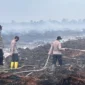BPBD Tanjabtim memperkuat pencegahan karhutla di lahan gambut menjelang kemarau 2026 di lima kecamatan rawan kebakaran hutan dan lahan.( poto : metrojambi.com )