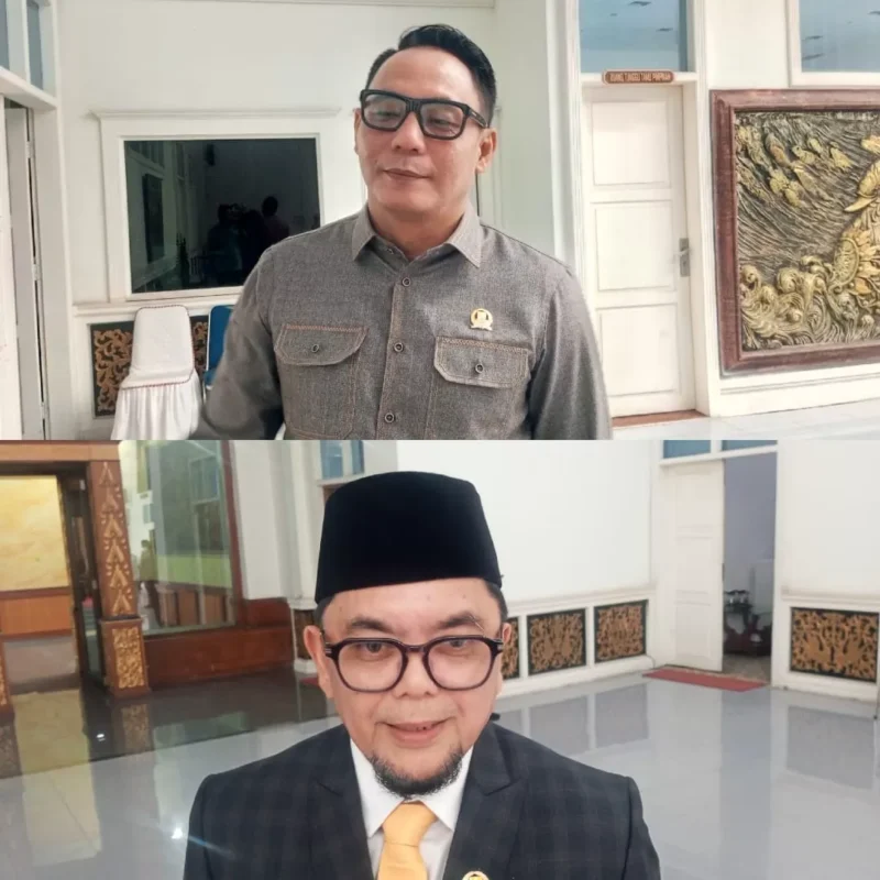 Wakil Ketua II DPRD Provinsi Jambi, Samsul Riduan( poto : metrojambi.com )