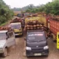Antrean truk dan mobil Pick up muatan TBS Sawit menunggu giliran masuk ke pabrik di Kecamatan Mestong, Muaro Jambi.Poto : jambione.com )