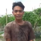 Harga pare di Muaro Jambi turun menjadi Rp4.500/kg, petani Sekernan tertekan.(m poto : jambione.com )