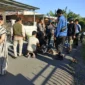 Petugas kepolisian bersama warga mengamankan pelaku pembacokan di Tungkal Ilir, Kabupaten Tanjung Jabung Barar.( poto : metrojambi.com )