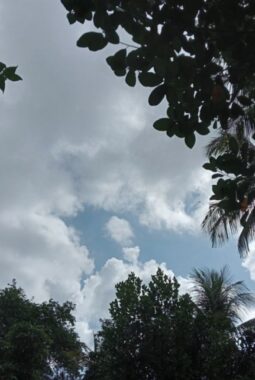 Prakiraan Cuaca Jambi Hari Ini: Cerah Berawan Mendominasi, Dua Wilayah Berpotensi Hujan Ringan Malam