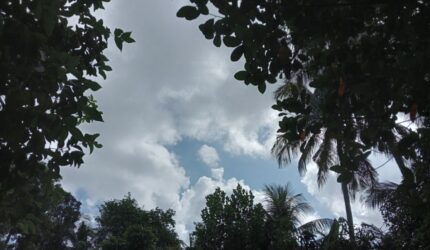 BMKG memprakirakan cuaca Jambi hari ini cerah berawan dominan, hujan ringan malam di dua wilayah dengan suhu 18–32°C.