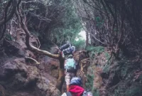 Jalur pendakian Gumumg Kerinci ( poto : jambione.com)