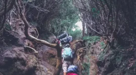 Jalur pendakian Gumumg Kerinci ( poto : jambione.com)