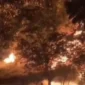 Rumah di Bahar Selatan Muaro Jambi terbakar saat kosong ditinggal pemilik ke Riau.( poto : tribunjambi.com )