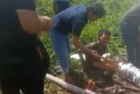 Warga Tanjung Sari, Jambi Timur, menangkap pria yang diduga mencuri kabel PLN.( poto : tribunjambi.com )