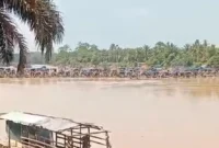 WALHI Jambi mencatat sedikitnya sekitar 300 rakit aktif melakukan aktivitas penambangan emas ilegal.( poto : metrojambi.com )