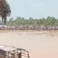 WALHI Jambi mencatat sedikitnya sekitar 300 rakit aktif melakukan aktivitas penambangan emas ilegal.( poto : metrojambi.com )