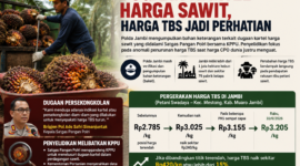 Polda Jambi telusuri dugaan kartel harga sawit setelah anomali penurunan harga TBS di Jambi.( poto :chatGPT )