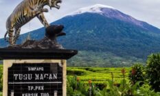5 Destinasi Wisata Alam Kerinci yang Wajib Masuk Daftar Liburan di Jambi