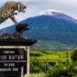 Tugu macan jalan menuju masuk wisata Gunung Kerinci.( poto jambione.com )