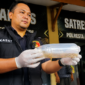 Satuan Reserse Kriminal Polresta Jambi gagalkan penyelundupan 47.872 benih lobster dari Lampung ke Riau.( poto : jambipost.net)