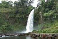Air Terjun Sigerincing di Merangin menawarkan panorama alam setinggi 100 meter( Poto : tatarmedia.id )