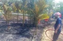 Kebakan di Muaro Jambi, hanguskan kebun pinang warga Sengeti pada Jumat (5/6/2026) siang.( poto :  tribunjambi.com )