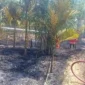 Kebakan di Muaro Jambi, hanguskan kebun pinang warga Sengeti pada Jumat (5/6/2026) siang.( poto :  tribunjambi.com )