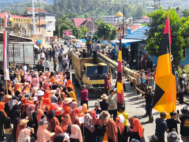 Warga Luhah Rio Mendiho gotong royong sambut Tiang Karamentang dengan tradisi adat.