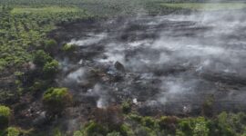 Kondisi kebakaran lahan di Desa Pulau Serdang, Kecamatan Simpang Kanan, Kabupaten Rokan Hilir dengan estimasi luasan mencapai 7 hektare.( poto: ANTARA).