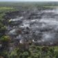 Kondisi kebakaran lahan di Desa Pulau Serdang, Kecamatan Simpang Kanan, Kabupaten Rokan Hilir dengan estimasi luasan mencapai 7 hektare.( poto: ANTARA).