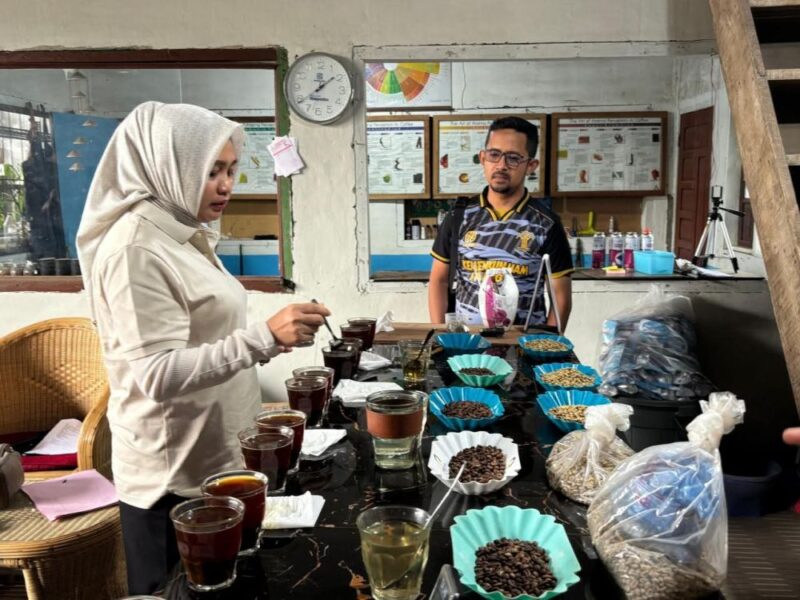 Pengawasan Kopi Kerinci Jambi oleh Kantor Wilayah Kementerian Hukum Jambi berlangsung unik di Kabupaten Kerinci pada Rabu (22/7/2026).(poto: jamberita.com).