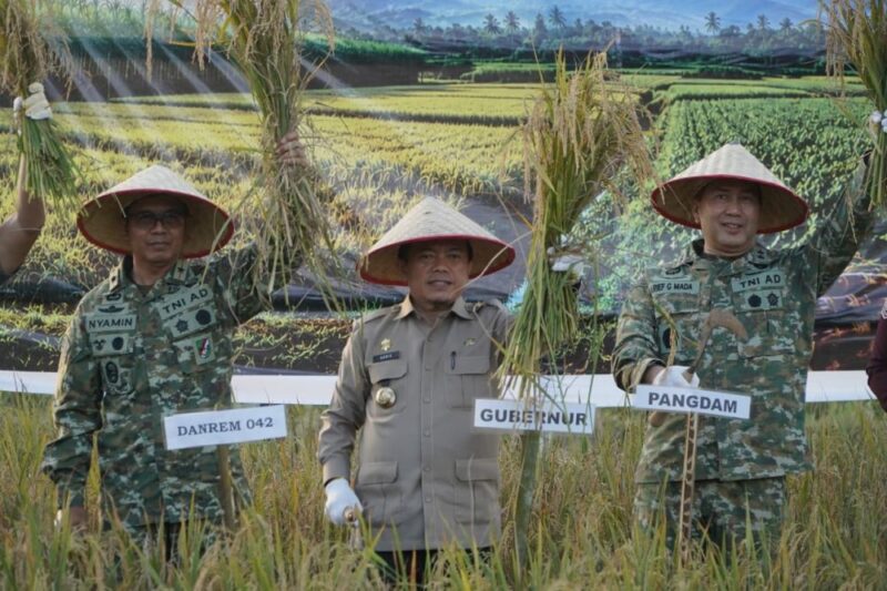 Gubernur Jambi Dr. H. Al Haris, S.Sos., MH menghadiri Panen Raya yang digelar di Kabupaten Tanjung Jabung Timur, Jumat (17/7/2026). (poto: jamberita.com).