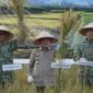 Gubernur Jambi Dr. H. Al Haris, S.Sos., MH menghadiri Panen Raya yang digelar di Kabupaten Tanjung Jabung Timur, Jumat (17/7/2026). (poto: jamberita.com).