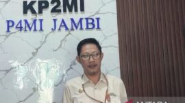 Koordinator P4MI Jambi Deliyus Eka Saputra saat memberikan keterangan kepada awak media di Jambi, Selasa (7/7/2026).( poto: ANTARA).