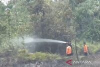 Petugas melakukan upaya pemadaman api di Kecamatan Kumpeh Ilir Muaro Jambi, Kamis (9/7/2026).(poto: ANTARA)