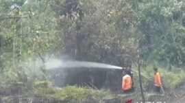 Petugas melakukan upaya pemadaman api di Kecamatan Kumpeh Ilir Muaro Jambi, Kamis (9/7/2026).(poto: ANTARA)