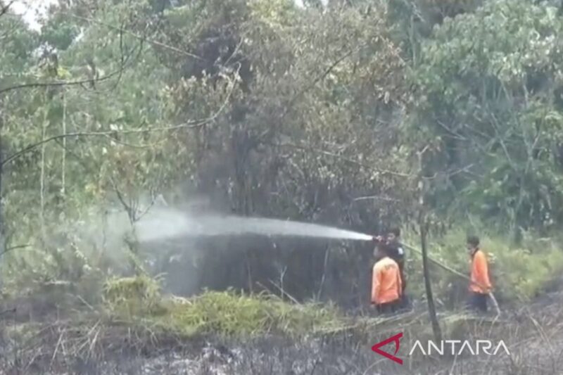 Petugas melakukan upaya pemadaman api di Kecamatan Kumpeh Ilir Muaro Jambi, Kamis (9/7/2026).(poto: ANTARA)